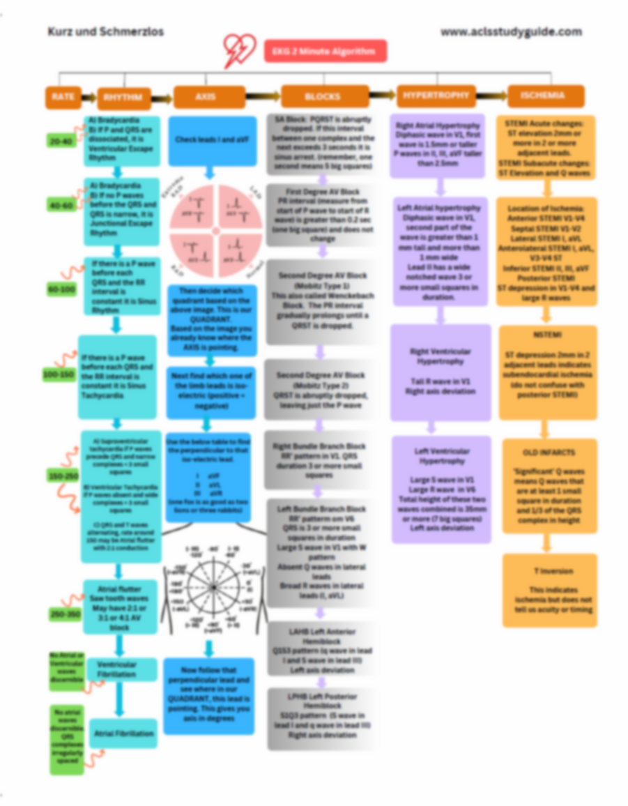 EKG TWO MINUTE ALGORITHM